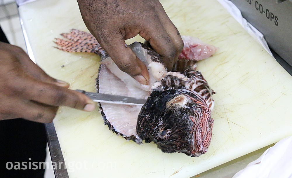 how to filet lionfish