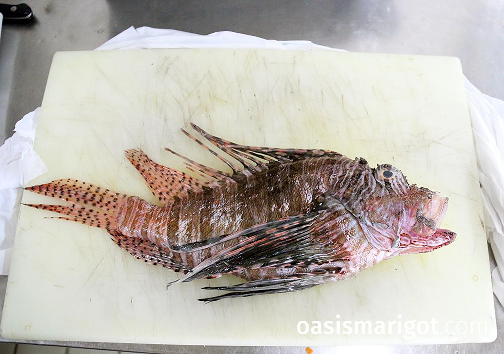 how to prepare lionfish