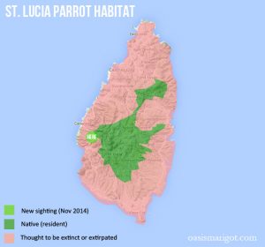 st-lucia-parrot-habitat